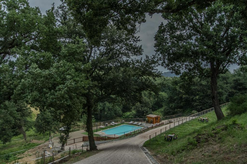 Agriturismo Specchio Del Lago Montefiascone Exterior foto